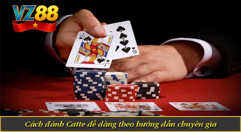 Cách đánh Catte dễ dàng theo hướng dẫn chuyên gia