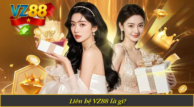 Liên hệ VZ88 là gì?