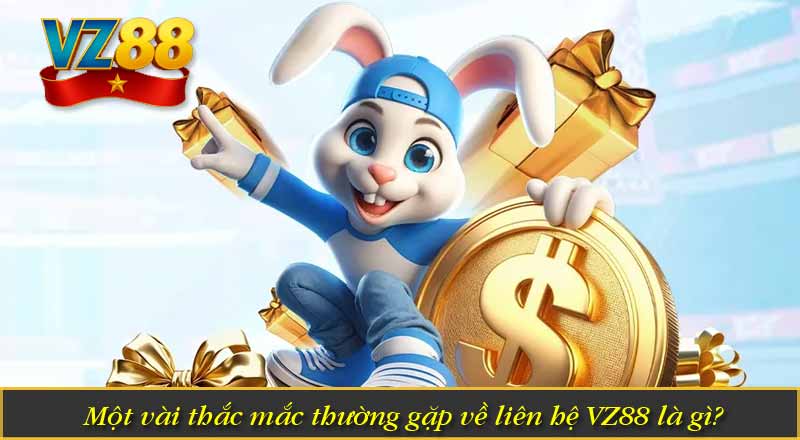 Một vài thắc mắc thường gặp về liên hệ VZ88 là gì?