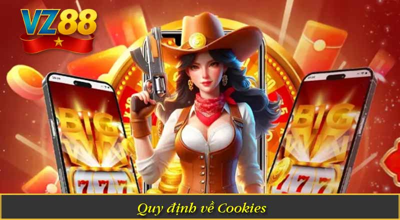Quy định về Cookies