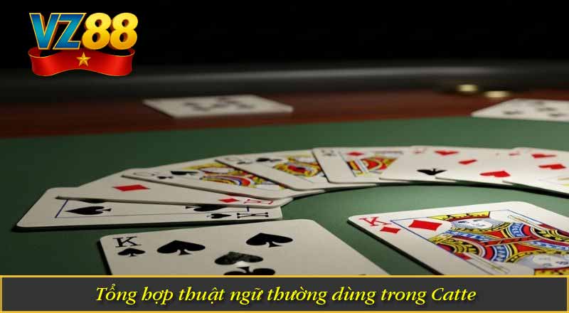 Tổng hợp thuật ngữ thường dùng trong Catte