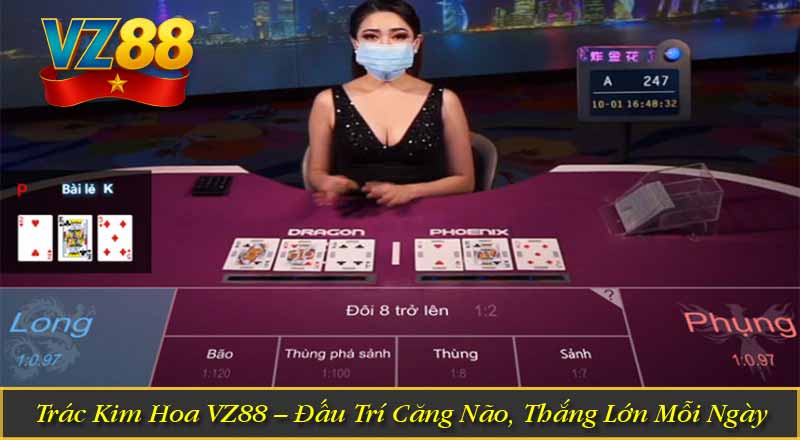 Trác Kim Hoa VZ88 – Đấu Trí Căng Não, Thắng Lớn Mỗi Ngày